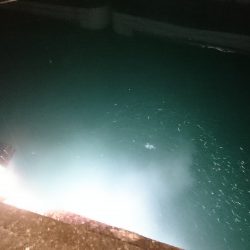 食品コンビナートサビキ釣りに出掛けたよ