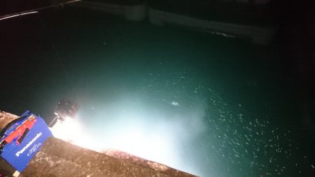 食品コンビナートサビキ釣りに出掛けたよ