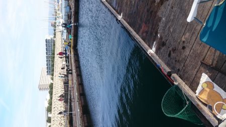 海上釣り堀田尻、カンパチ狙いへ