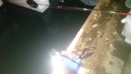 食コン♪海上釣り堀前哨戦、サビキ釣りで活き…