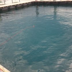 海上釣り堀紀州、青物爆釣なるか？