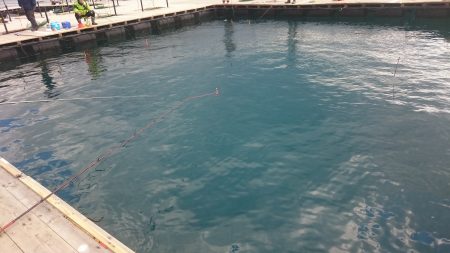 海上釣り堀紀州、青物爆釣なるか？