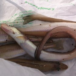 こんなはずでは汗