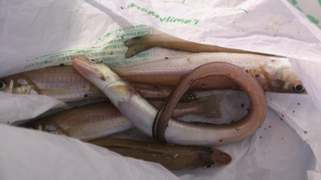 こんなはずでは汗