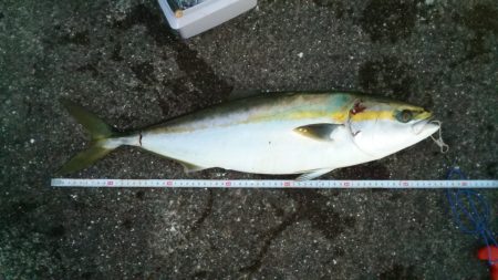 ﾒｼﾞﾛ　Get　ヽ(^◇^*)/ ﾜｰｲ…