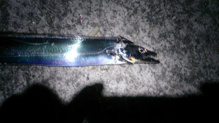 刀狩り(浮き釣り)