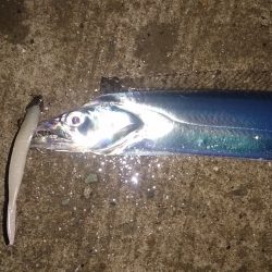 ちょこっと刀狩り