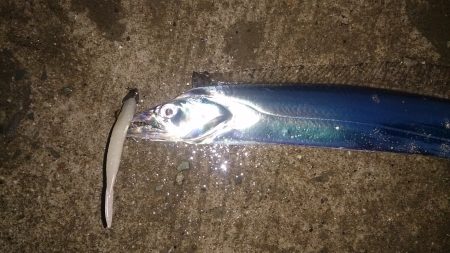 ちょこっと刀狩り