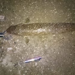 ボラれました…(-o-;)