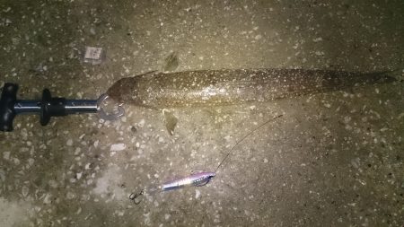 ボラれました…(-o-;)