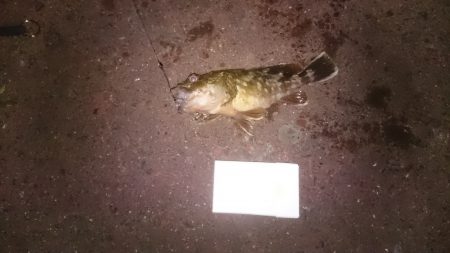 予定外のガシリングで…