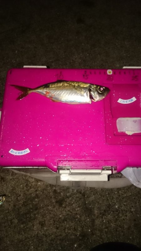 雨 風 にもまけません