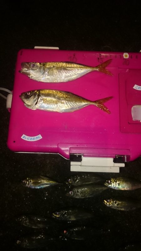 ヤッパリアジング