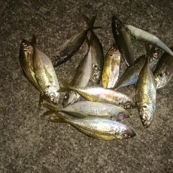 残業は海でします