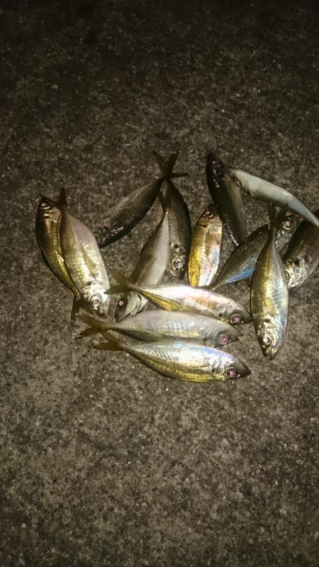 残業は海でします