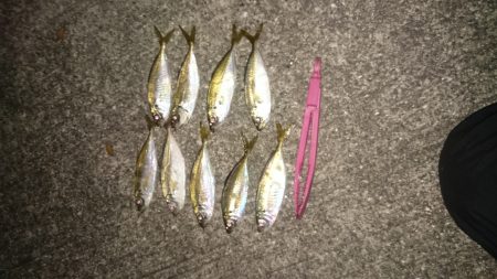 タチウオにヤラレました