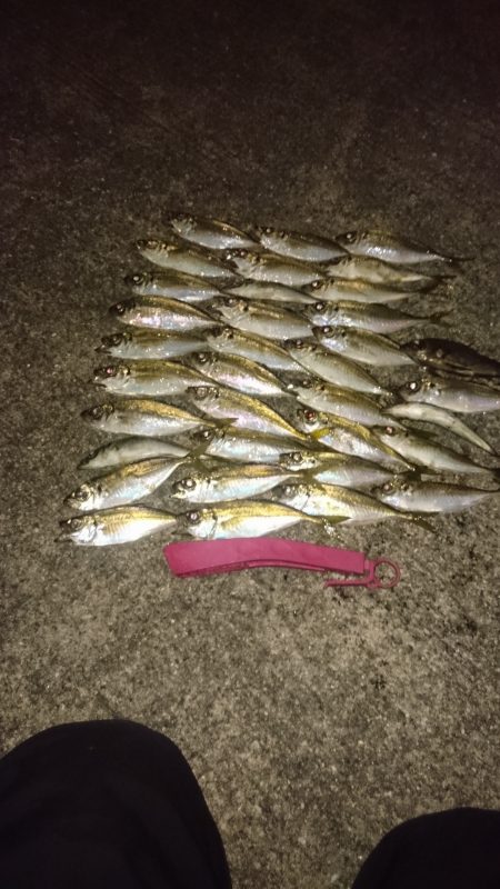 アジングにタチウオでラインブレイク