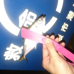 雨には負けません