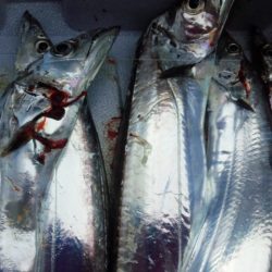 二日続けて深夜のコスモスクエア