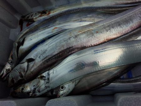 時合いはなかったけど・・・