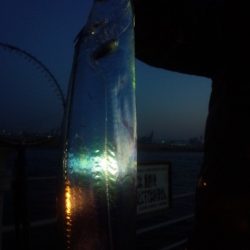 久々のコスモスクエア