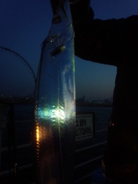 久々のコスモスクエア