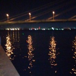 太刀魚の神様が釣る‼