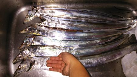 夕まずめの釣行にて‼