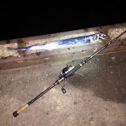 渋かったｧ～(泣)