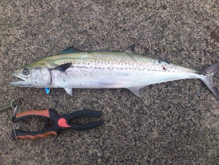 爆風風裏でエギングしたけど…