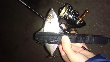アジング釣行記