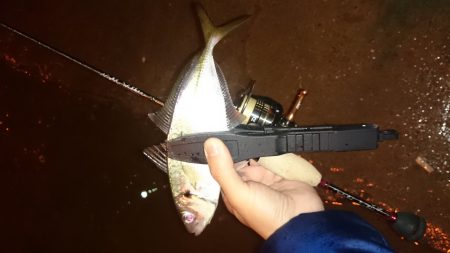 アジング釣行記