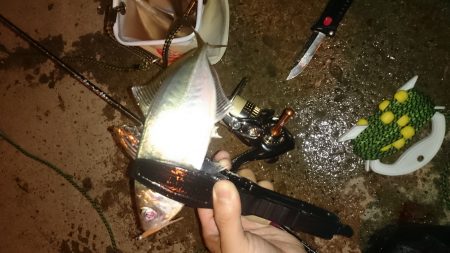 アジング釣行記
