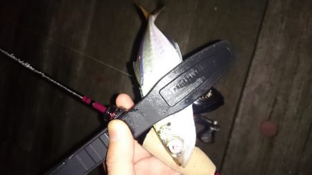 アジング釣行記