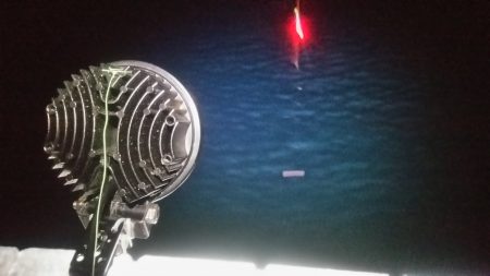 夜サビキ アジは少しも大きくなってます。