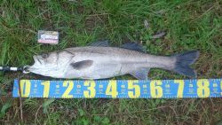 相性の良い長潮