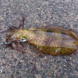 悪天候の中、釣行