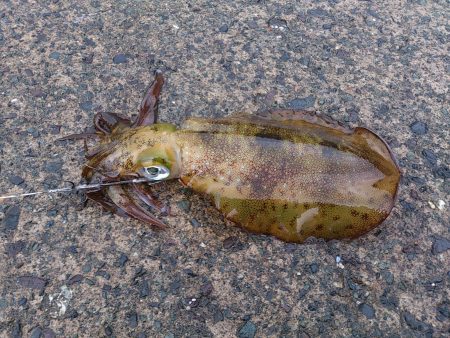 悪天候の中、釣行