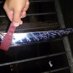 大津川尻高場にてウキ釣りで太刀魚3本get