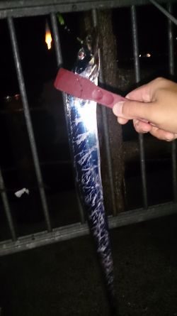 大津川尻高場にてウキ釣りで太刀魚3本get