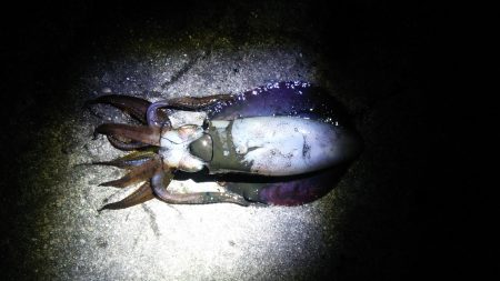 全員釣果ありました♪