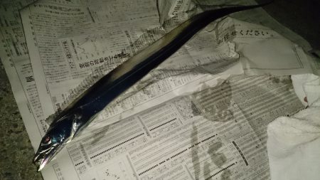 明け方に大物が