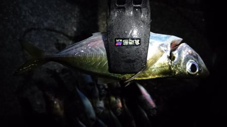 リベンジアジング