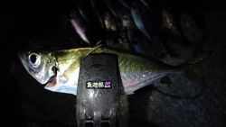 リベンジアジング