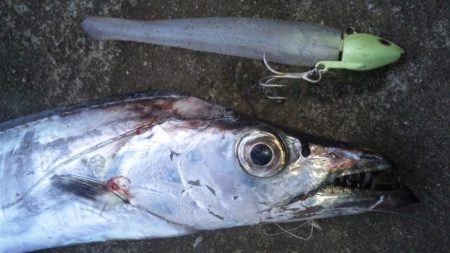 タチウオ釣り