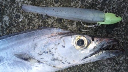 タチウオ釣り