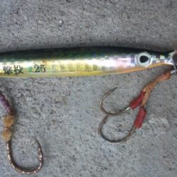 ショアジギング