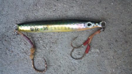 ショアジギング