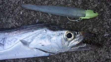 タチウオ釣り