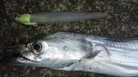 タチウオ釣り